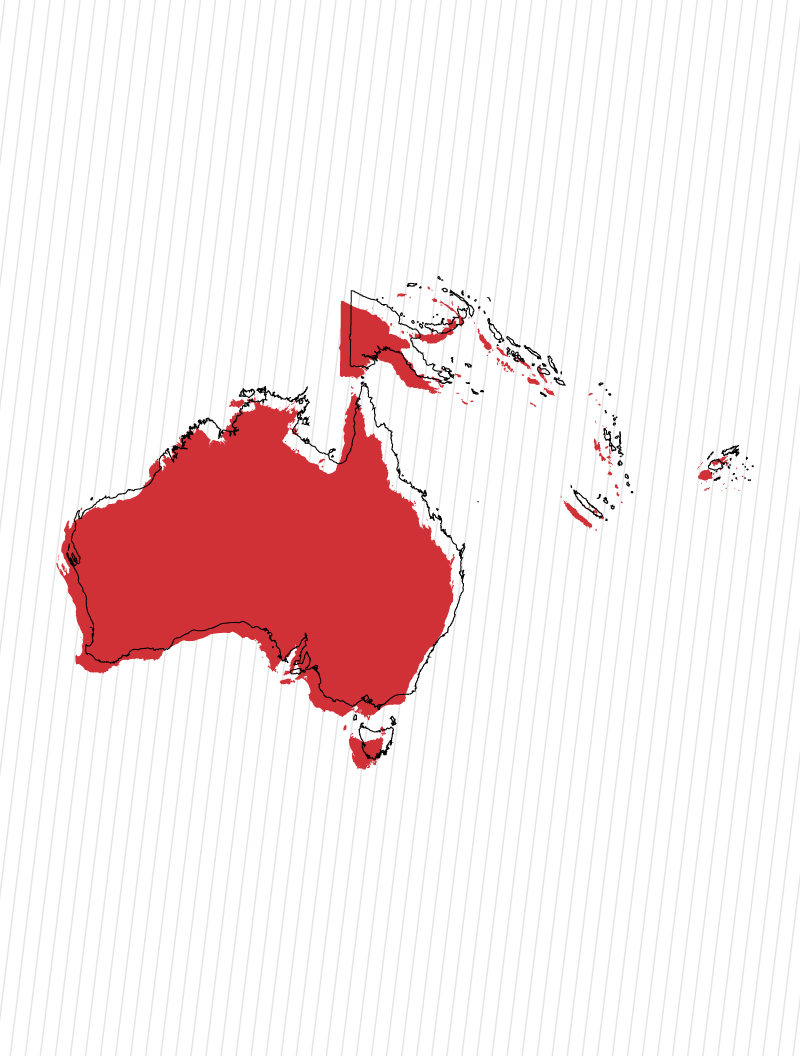 Red vector image of Australia with black outline and white background (Zimmerman Industries branding colors to demonstrate their global presence).